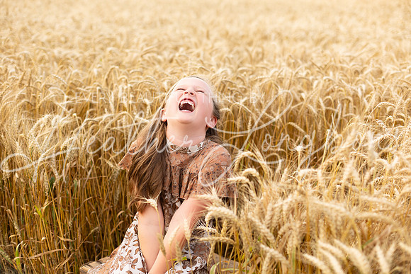 Wheat Field Bonds-40