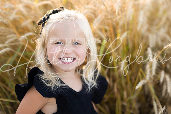 Wheat field Speirs-15