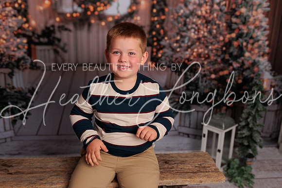 Christmas Abby-3