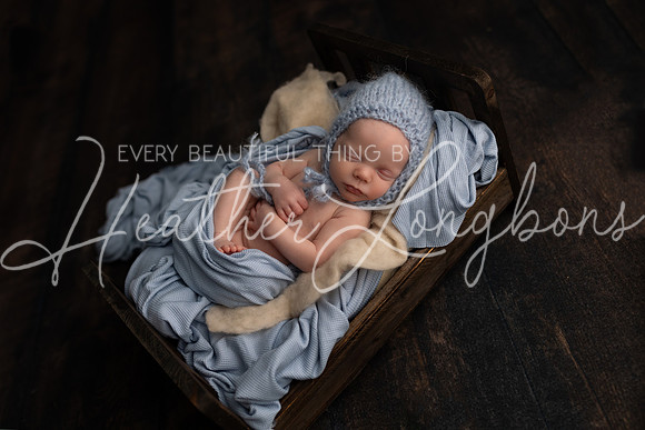 Dawson newborn-32