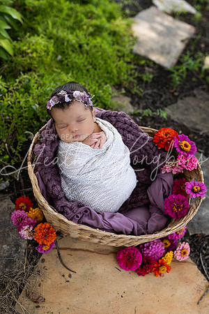 Emery Newborn-103