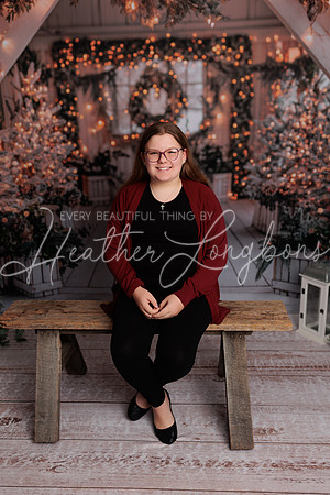Christmas Abby-5