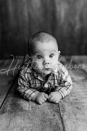 Forrest 3 months-9BW