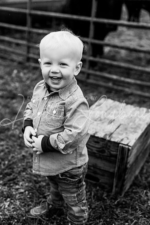 Bell Extended family-29BW