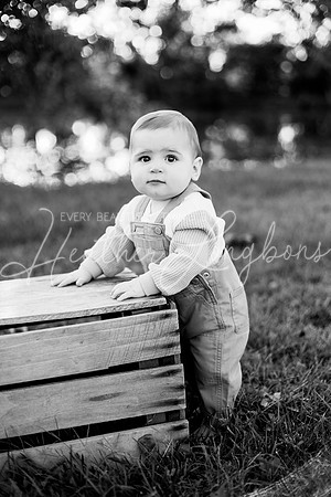 Brooks One Year-76BW