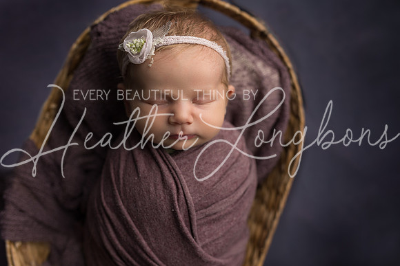 Ellaretta newborn-27