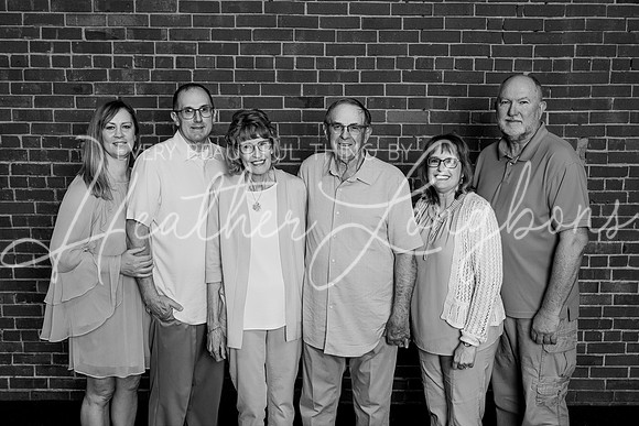 Hortin Extended family-44BW