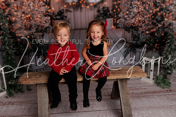 Christmas 2024 Taylors-5