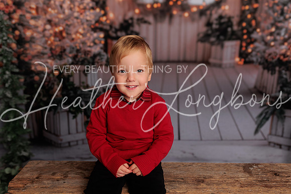 Christmas 2024 Taylors-8