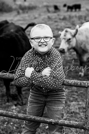 Bell Extended family-24BW