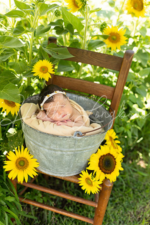 Emery Newborn-100