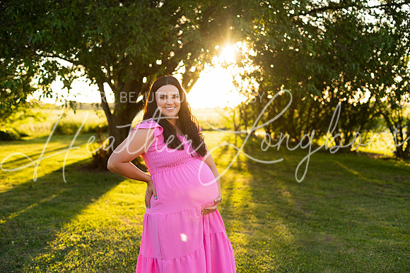 Tyler and Mackenzie Maternity 2024-63