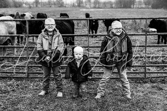 Bell Extended family-46BW
