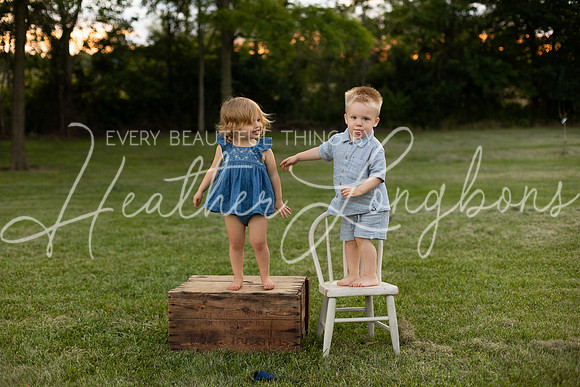 Cochren Twins 2 years-141
