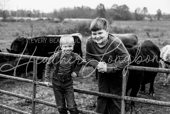 Bell Extended family-37BW