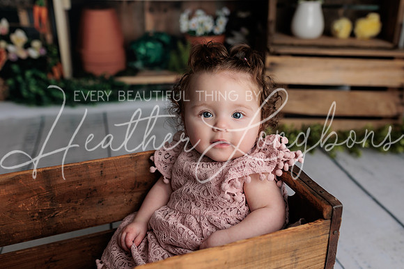 Taylor Twins Spring Minis-7