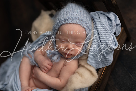 Dawson newborn-31
