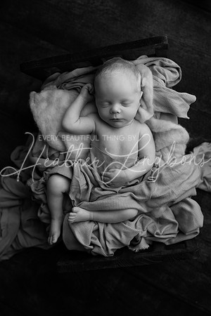 Dawson newborn-29BW