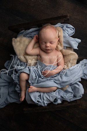 Dawson newborn-29
