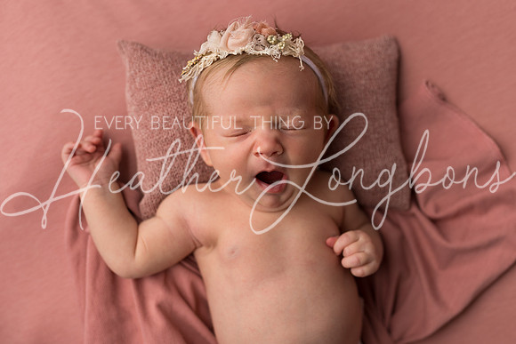 Ellaretta newborn-1