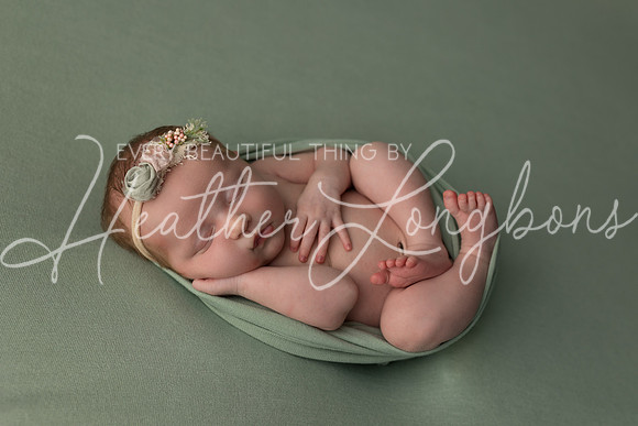 Colbie newborn-36