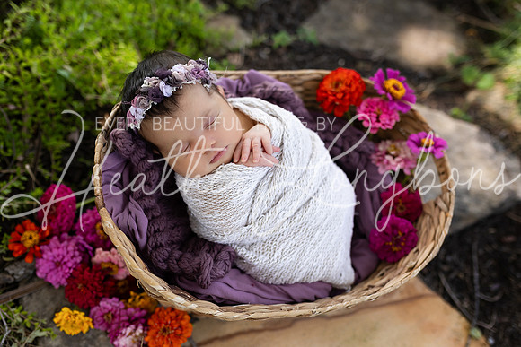 Emery Newborn-105