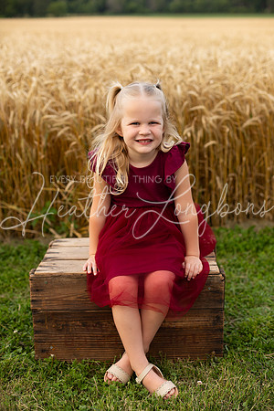 Wheat Field Bonds-15