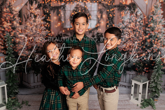 2024 Christmas McDaniel-25
