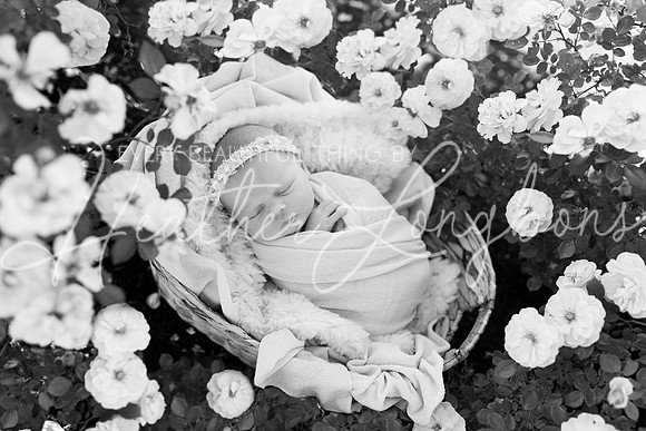 Johanna newborn-10BW