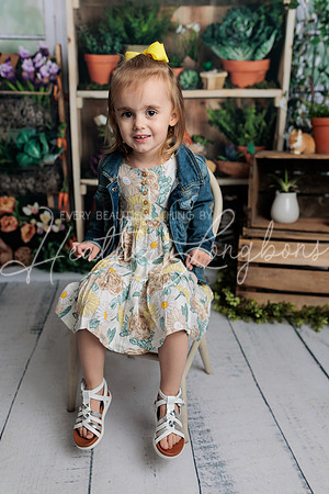 Evelynn Spring Minis-1