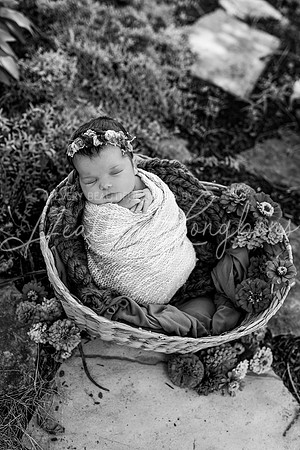 Emery Newborn-103BW