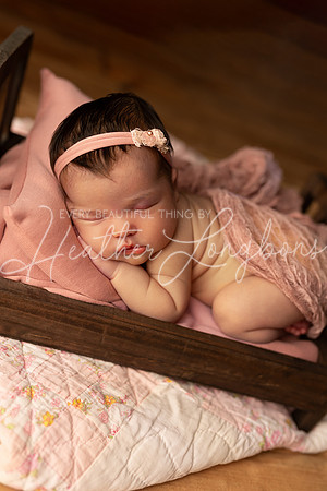 Emery Newborn-87