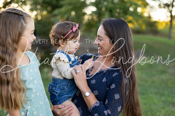Sunset Wolfe family-34