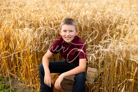 Wheat Field Bonds-44