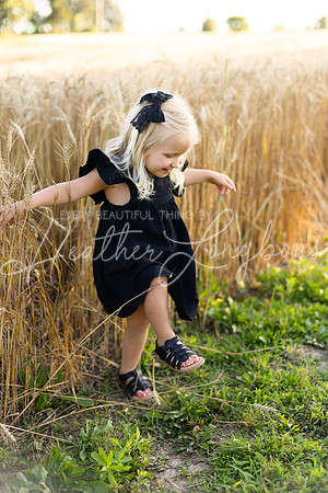 Wheat field Speirs-44