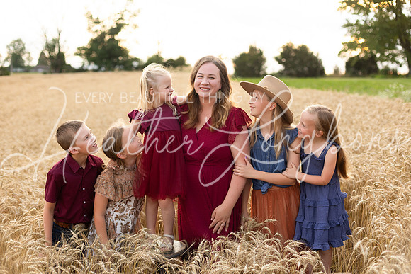 Wheat Field Bonds-77