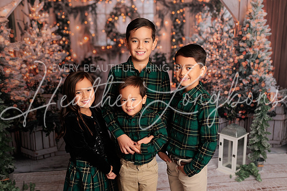 2024 Christmas McDaniel-28