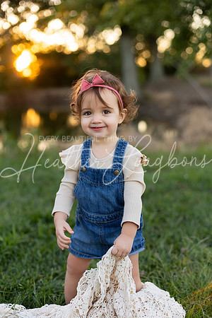 Sunset Wolfe family-96