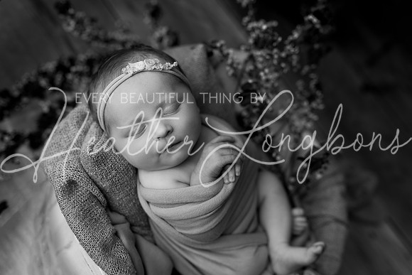 Colbie newborn-22BW