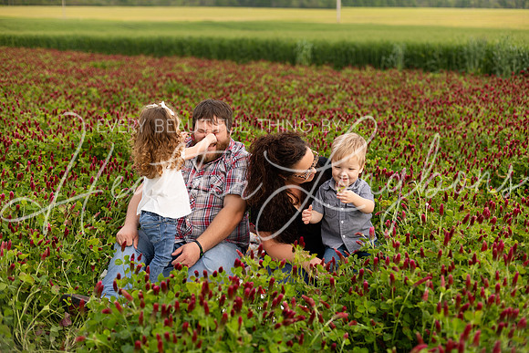Clover Taylor family-12