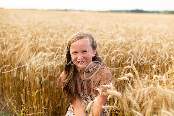 Wheat Field Bonds-42