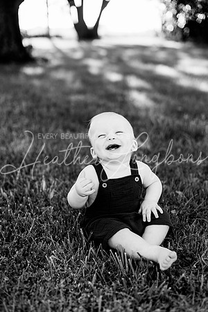Maddux One Year-6BW