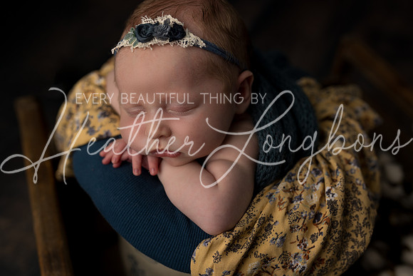 Colbie newborn-35