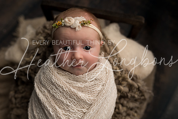 Colbie newborn-34