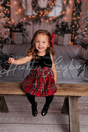Christmas 2024 Taylors-10