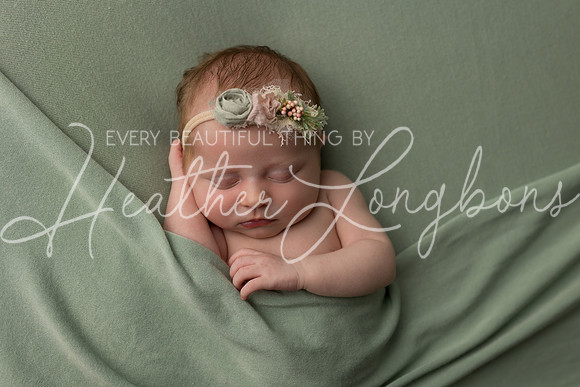 Colbie newborn-30