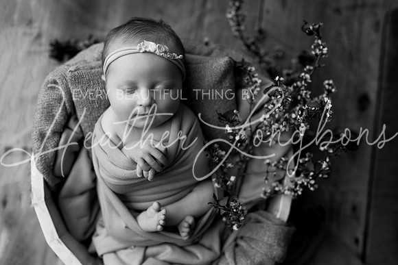 Colbie newborn-21BW