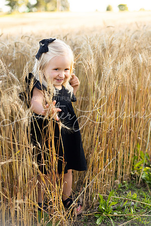 Wheat field Speirs-43