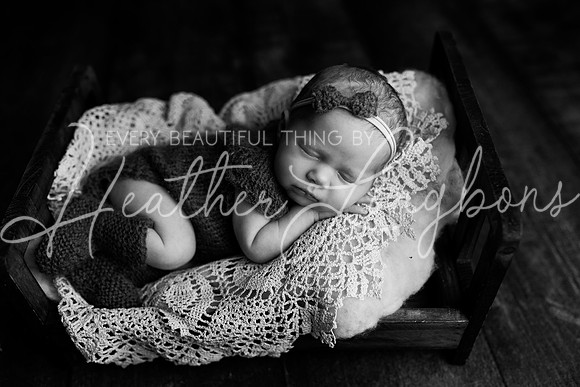Flossie newborn-14BW
