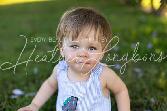 FP7A6565